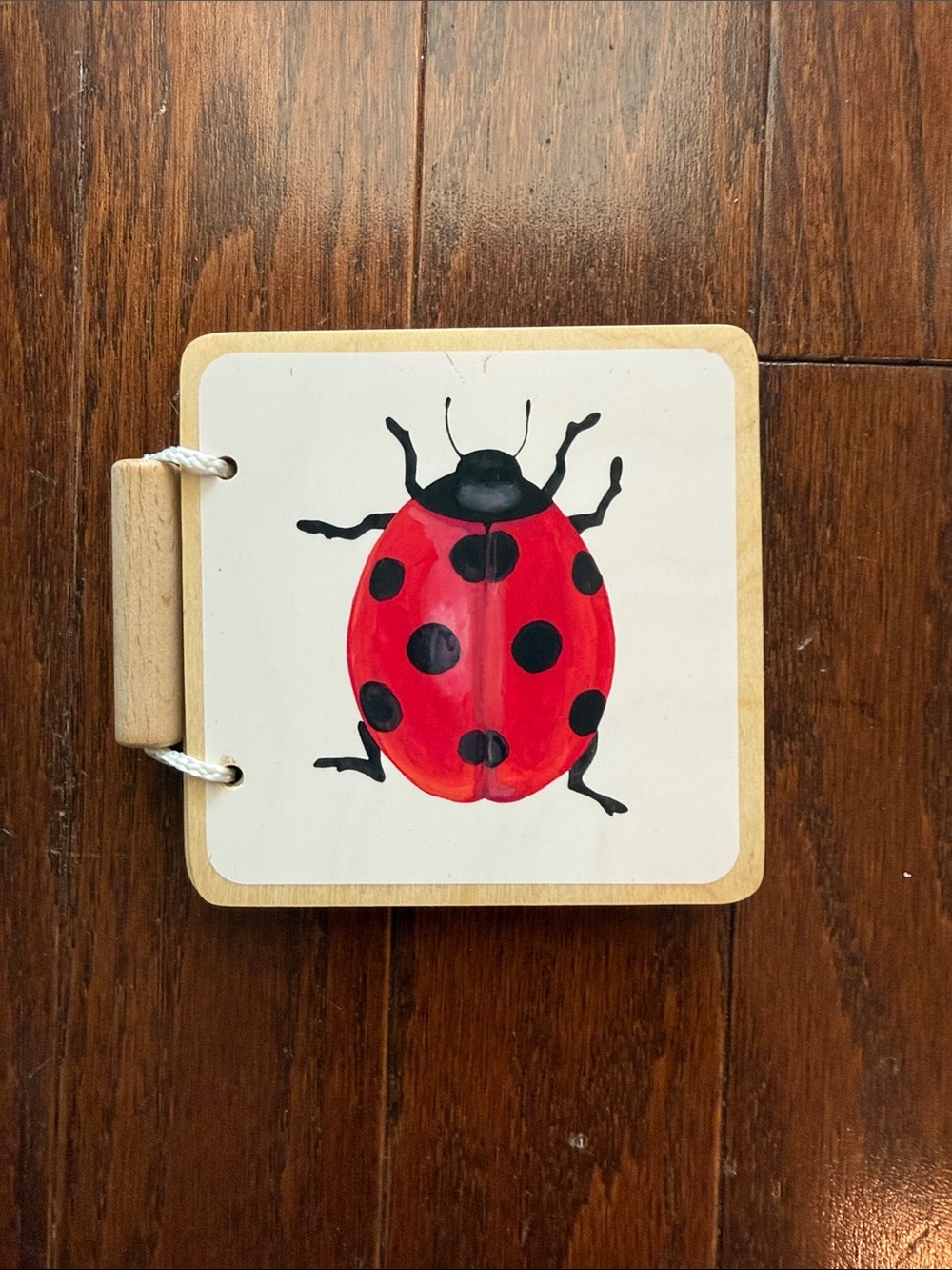 Lovevery Colorful Animals Wooden Book